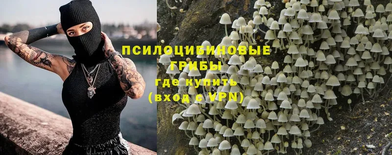 где можно купить наркотик  hydra рабочий сайт  Псилоцибиновые грибы MAGIC MUSHROOMS  Долинск 